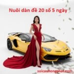 Nuôi dàn đề 20 số 5 ngày chuẩn