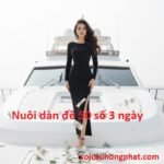Nuôi dàn đề 50 số 3 ngày chuẩn
