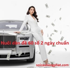 Nuôi Dàn Đề 16 Số Khung 3 Ngày