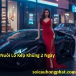 Nuôi Lô Kép Khung 2 Ngày 799 Chuẩn Xác
