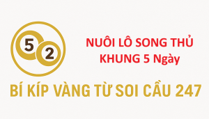 Nuôi Lô Song Thủ Khung 5 Ngày