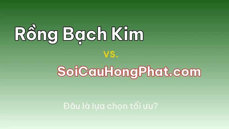 Soi Cầu Rồng Bạch Kim vs. SoiCauHongPhat.com: Đâu Là Lựa Chọn Tối Ưu?